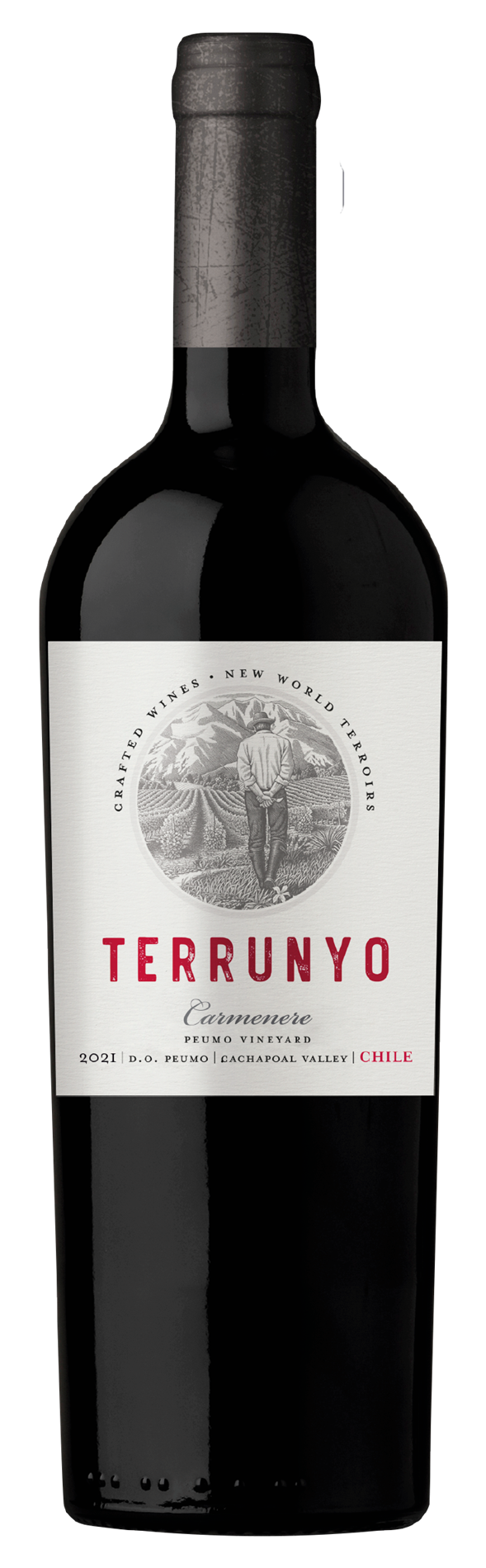 Terrunyo Carmenere